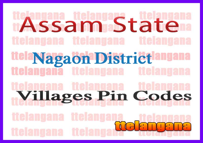 Nagaon District Pin Codes in Assam State