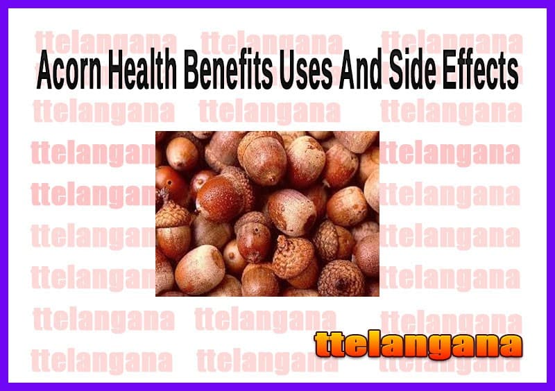 Acorn Health Benefits Uses And Side Effects