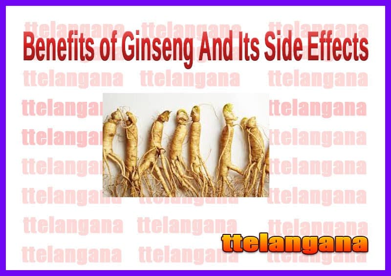 Benefits of Ginseng And Its Side Effects