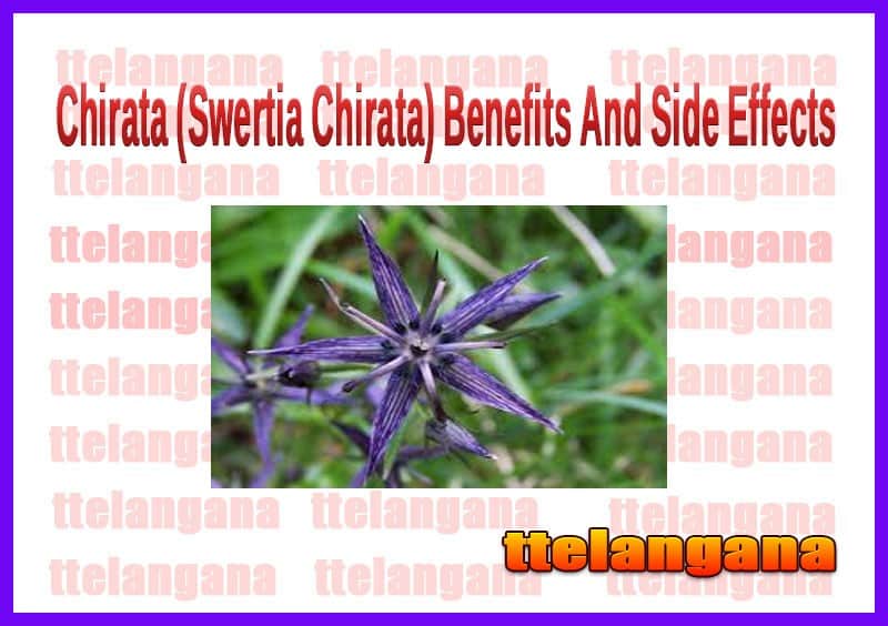 Chirata (Swertia Chirata) Benefits And Side Effects