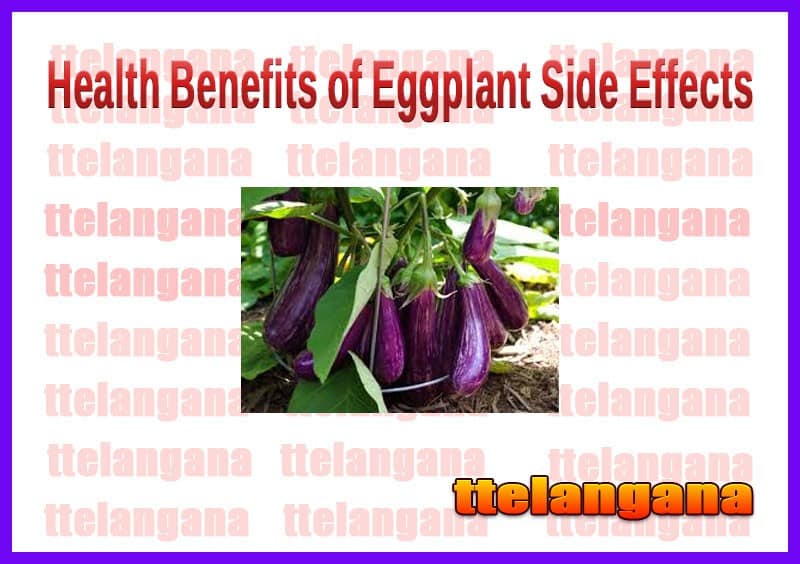 Health Benefits of Eggplant And Nutritional Information Uses Side Effects