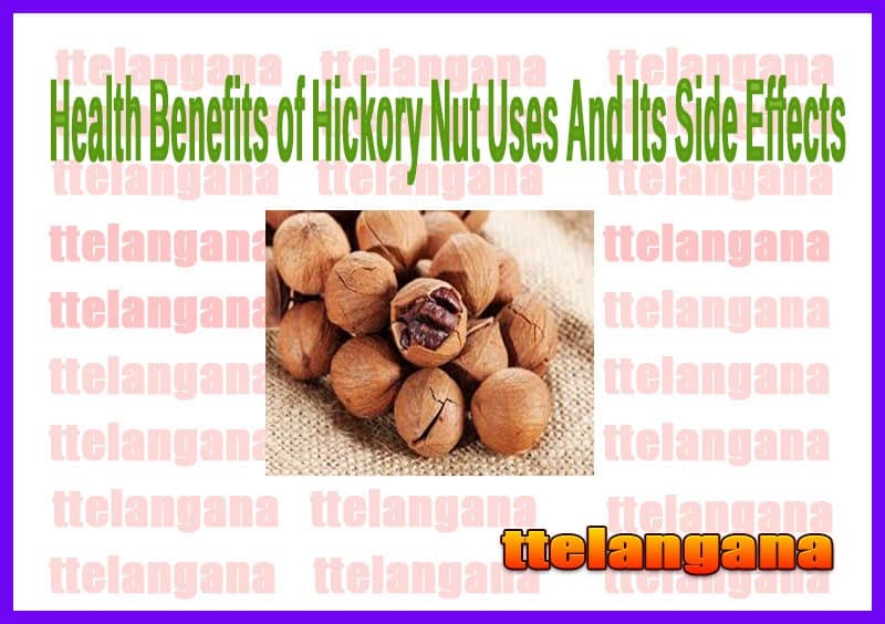 Health Benefits of Hickory Nut Uses And Its Side Effects