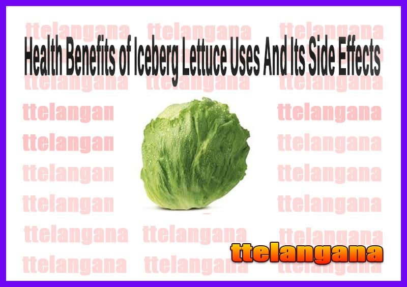 Health Benefits of Iceberg Lettuce Uses And Its Side Effects