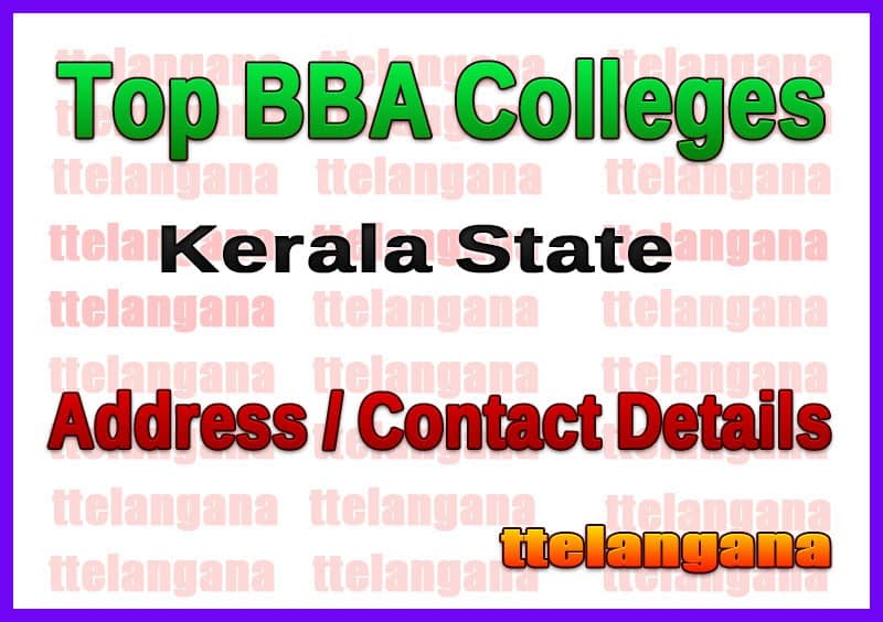 Top BBA Colleges in Kerala