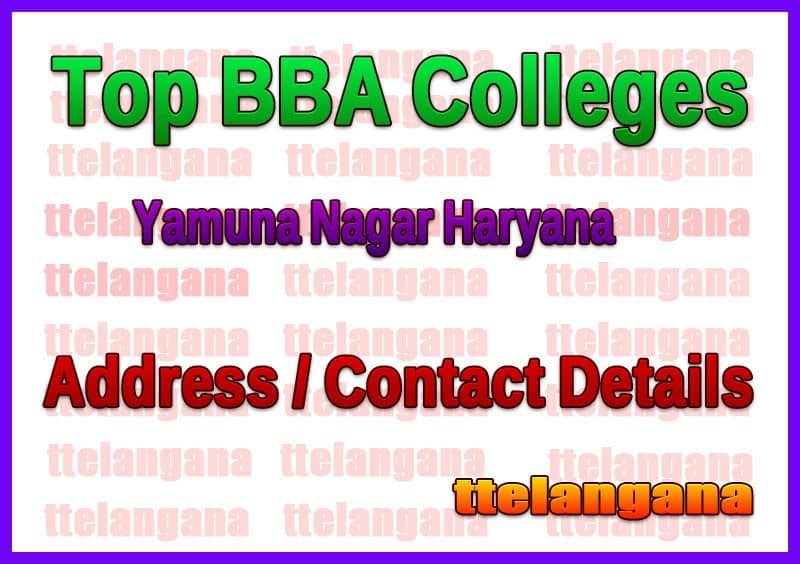 Top BBA Colleges in Yamuna Nagar Haryana