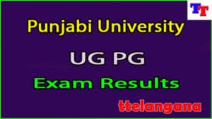 Punjabi University UG PG Exam Results