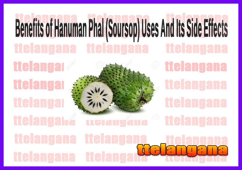 Benefits of Hanuman Phal (Soursop) Uses And Its Side Effects