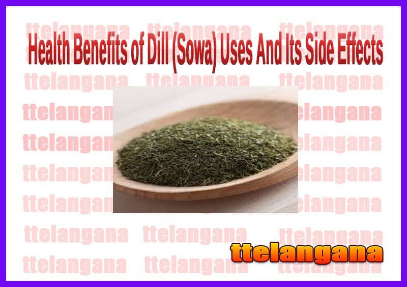 Health Benefits of Dill And Side Effects