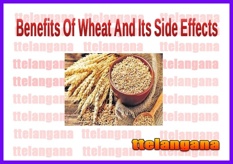 Benefits Of Wheat And Its Side Effects