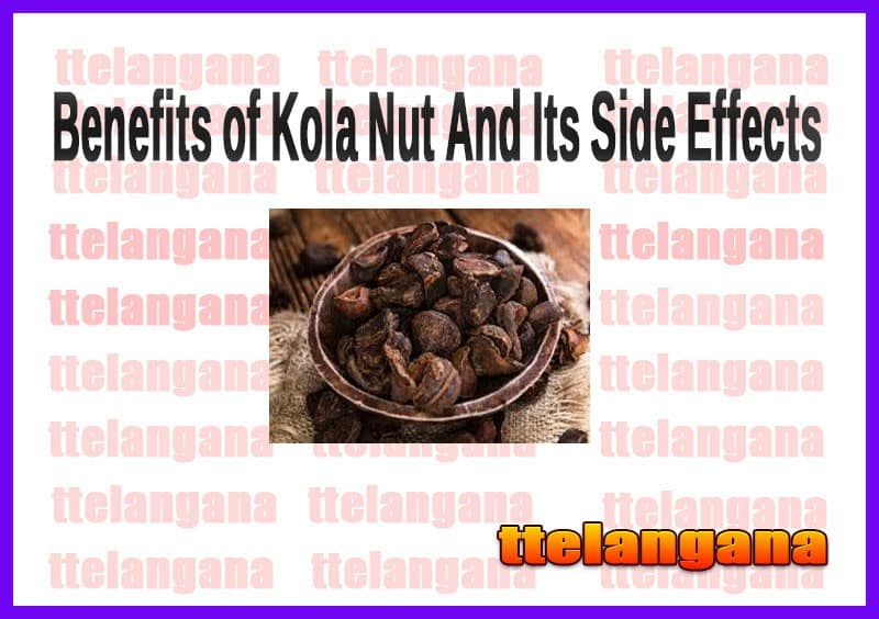 Health Benefits of Kola Nut And Its Side Effects