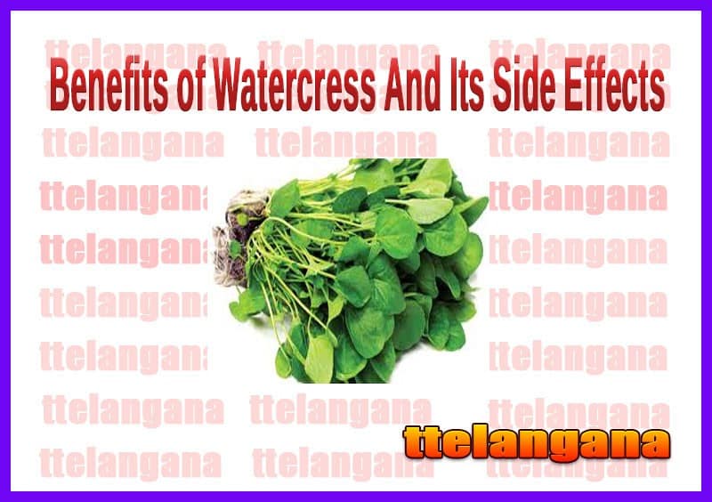 Benefits of Watercress And Its Side Effects