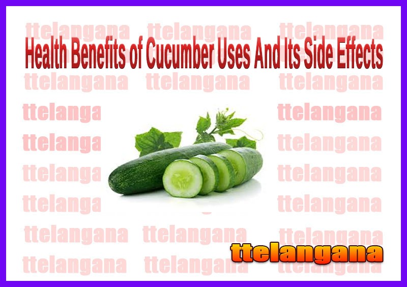 Health Benefits of Cucumber Uses And Its Side Effects