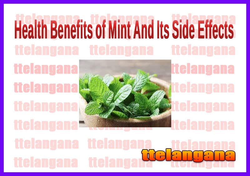Health Benefits of Mint And Its Side Effects