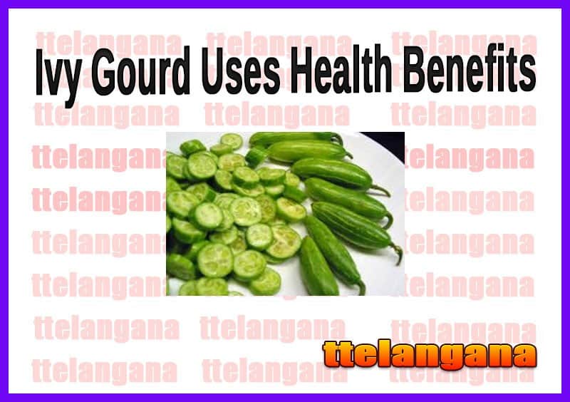 Health Benefits of Ivy Gourd And Side Effects