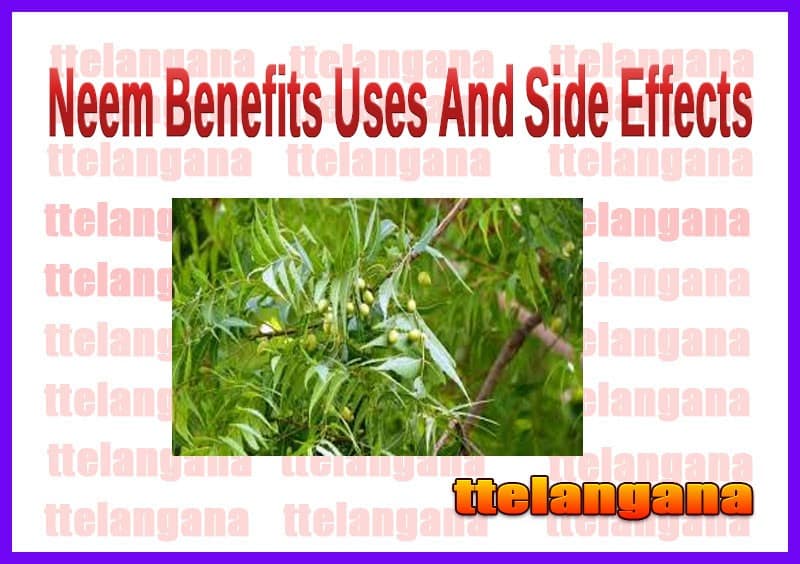 Health Benefits Of Neem And Side Effects