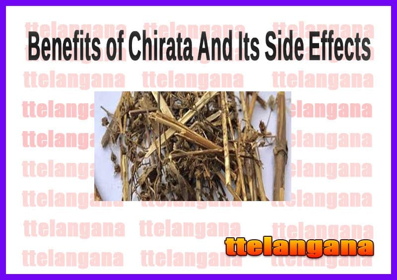 Benefits of Chirata (Swertia Chirata) And Its Side Effects