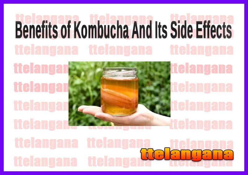 Health Benefits of Kombucha And Its Side Effects