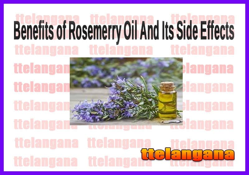 Benefits of Rosemerry Oil And Its Side Effects