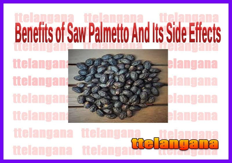 Benefits of Saw Palmetto And Its Side Effects