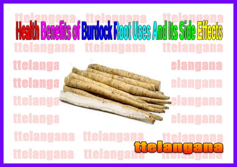 Health Benefits of Burdock Root Uses And Its Side Effects