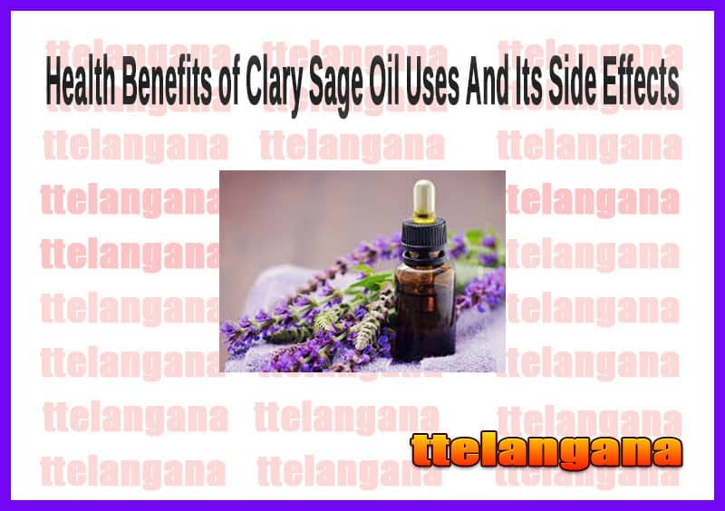 Health Benefits of Clary Sage Oil Uses And Its Side Effects
