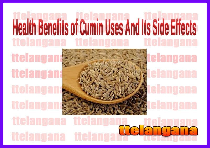 Health Benefits of Cumin Seeds Uses And Its Side Effects