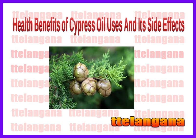 Health Benefits of Cypress Oil Uses And Its Side Effects