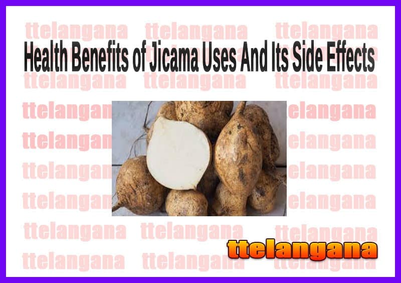 Health Benefits of Jicama Uses And Its Side Effects