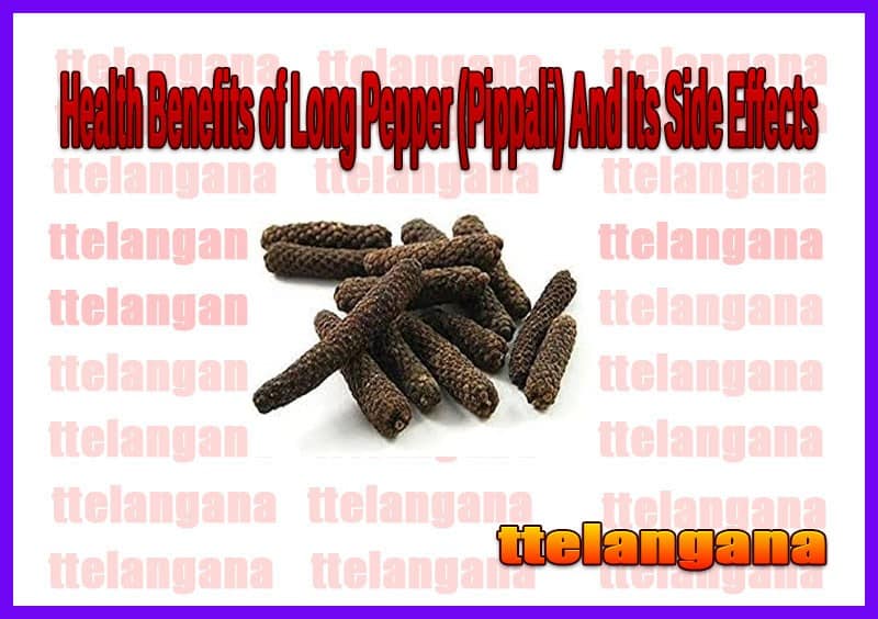 Health Benefits of Long Pepper (Pippali) And Its Side Effects