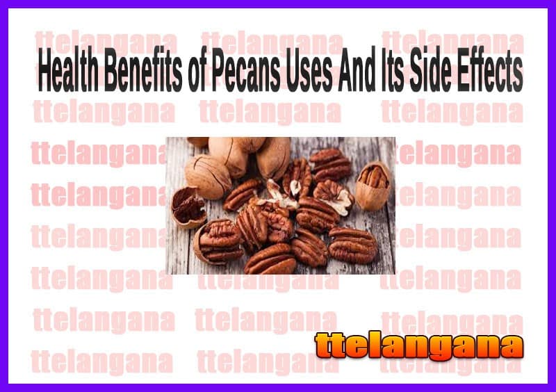 Health Benefits of Pecan Nuts Uses And Its Side Effects