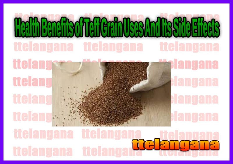 Health Benefits of Teff Grain Uses And Its Side Effects