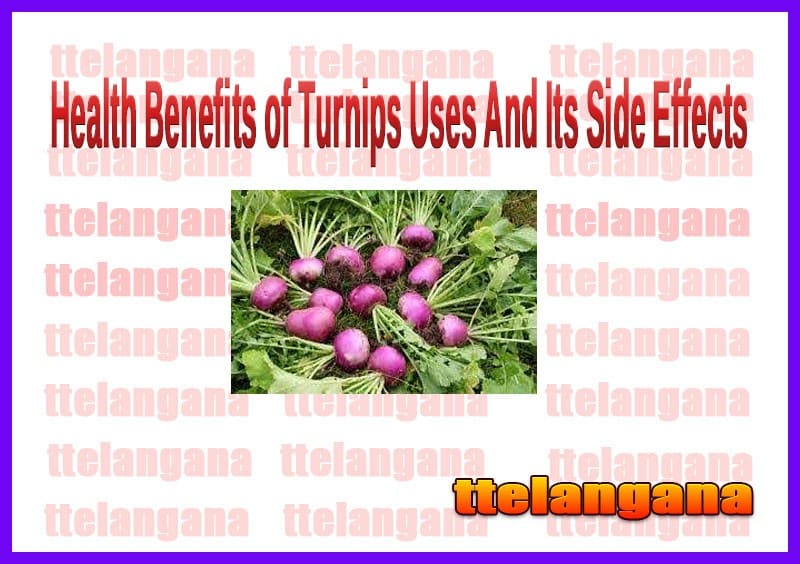 Health Benefits of Turnips Uses And Its Side Effects