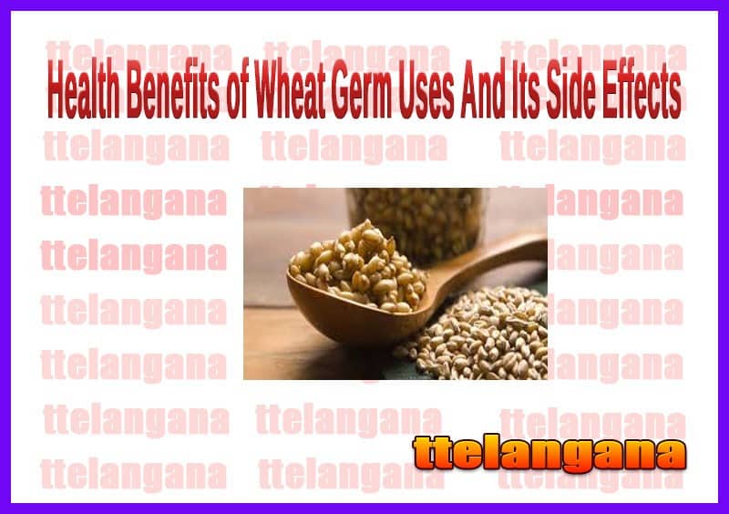 Health Benefits of Wheat Germ Uses And Its Side Effects