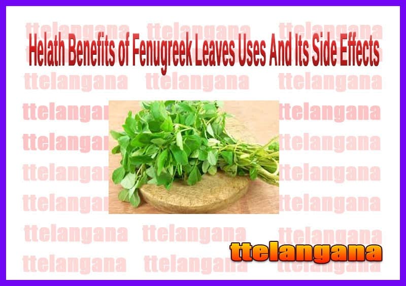 Health Benefits of Fenugreek Leaves (Kasuri Methi) Uses And Its Side Effects