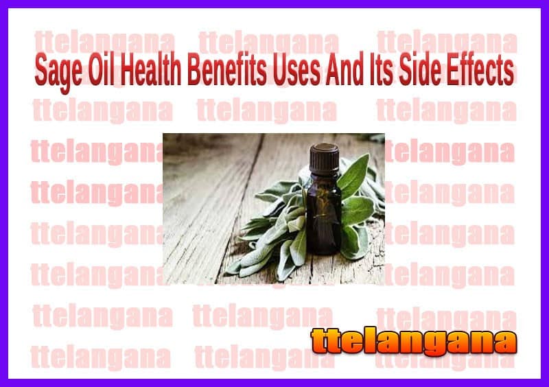 Health Benefits Of Sage Oil Uses And Its Side Effects