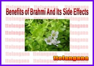Benefits of Brahmi And Its Side Effects