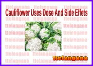 Cauliflower Uses And Side Effects