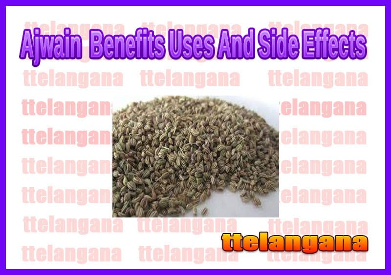 Ajwain (Carom Seeds) Benefits Uses And Side Effects