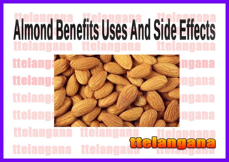 Almond Benefits Uses And Side Effects
