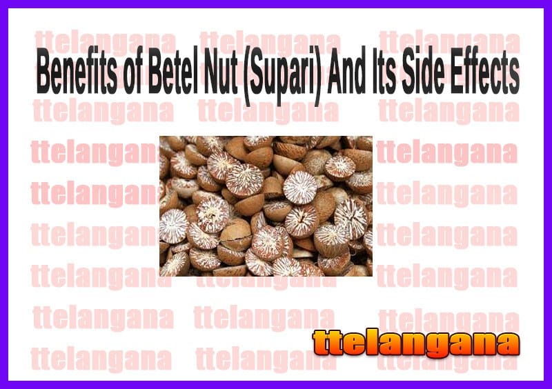 Benefits of Betel Nut (Supari) And Its Side Effects