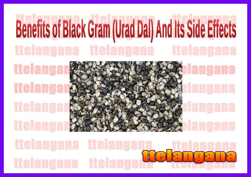 Benefits of Black Gram (Urad Dal) And Its Side Effects