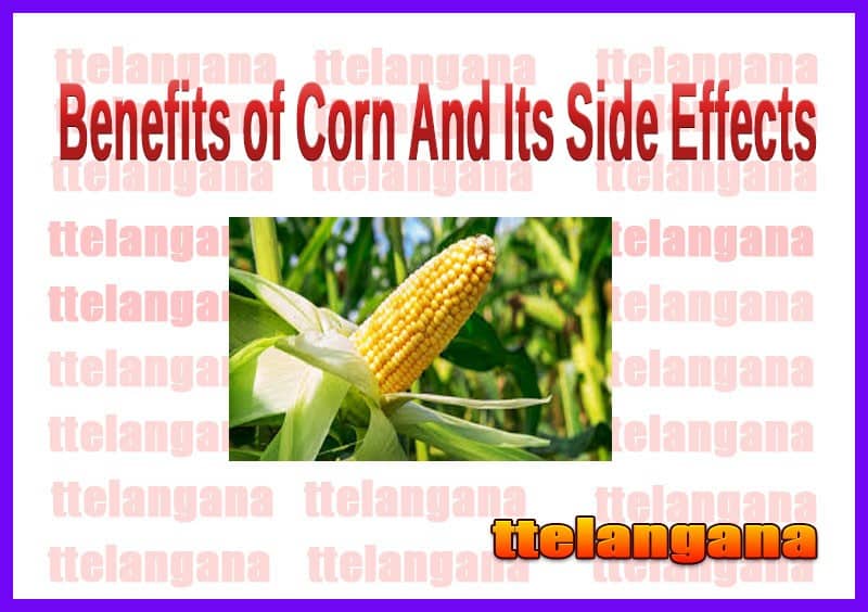 Benefits of Corn And Its Side Effects