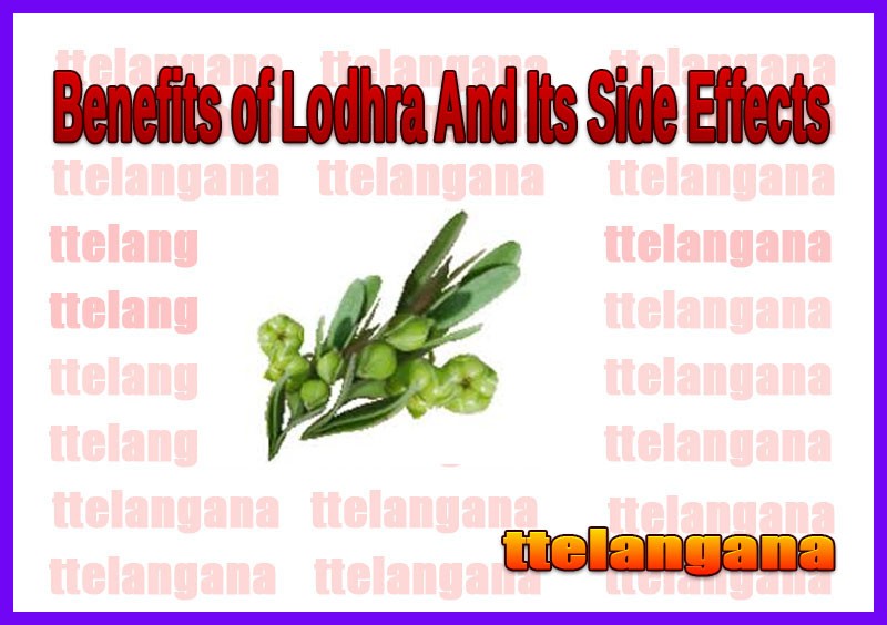 Benefits of Lodhra And Its Side Effects