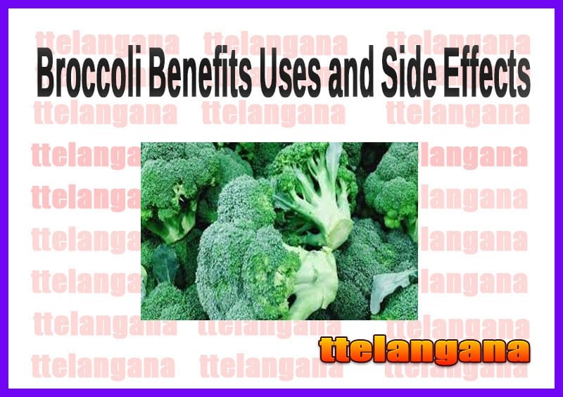 Broccoli Benefits Uses and Side Effects