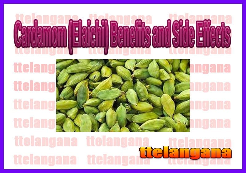 Benefits Of Cardamom (Elaichi) Uses and Side Effects