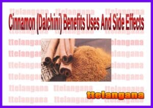 Cinnamon (Dalchini) Benefits Uses And Side Effects