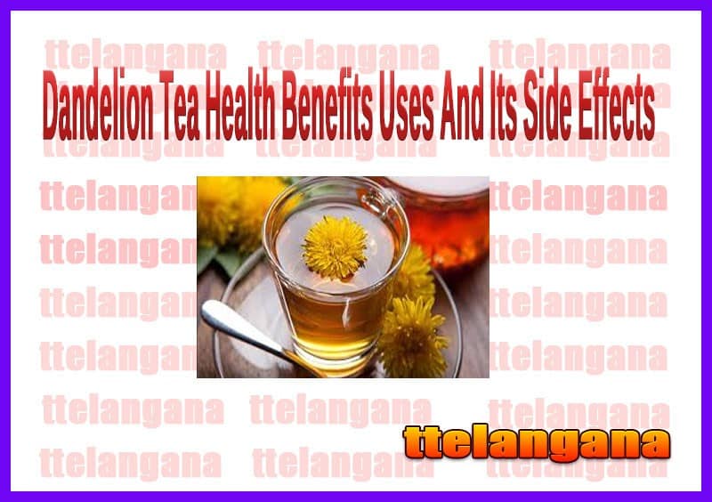 Dandelion Tea Health Benefits Uses And Its Side Effects