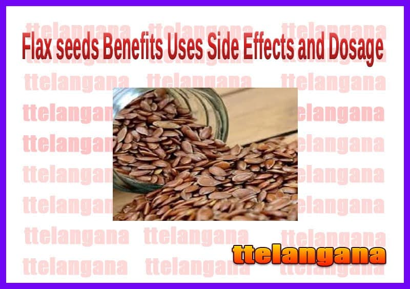 Benefits Of Flax Seeds Uses and Side Effects