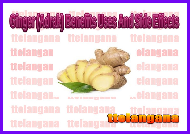 Ginger (Adrak) Benefits Uses And Side Effects