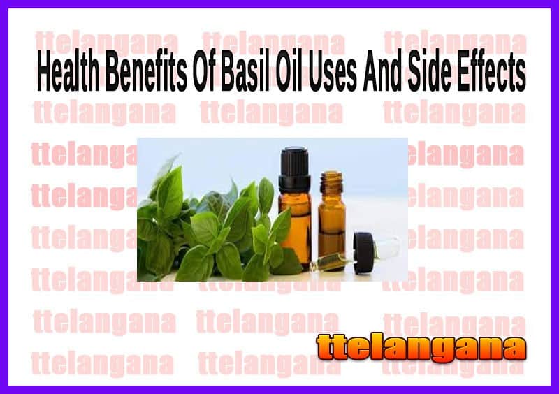 Health Benefits Of Basil Oil Uses And Side Effects